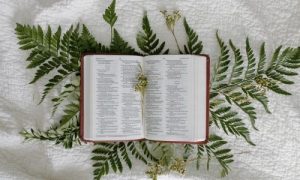Cytaty-z-Biblii-na-Komunię Świętą